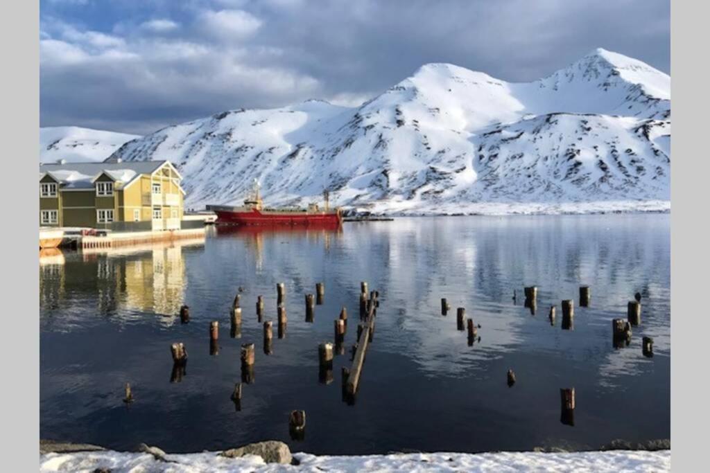 House With A Warm Soul In North Iceland Siglufjordur エクステリア 写真